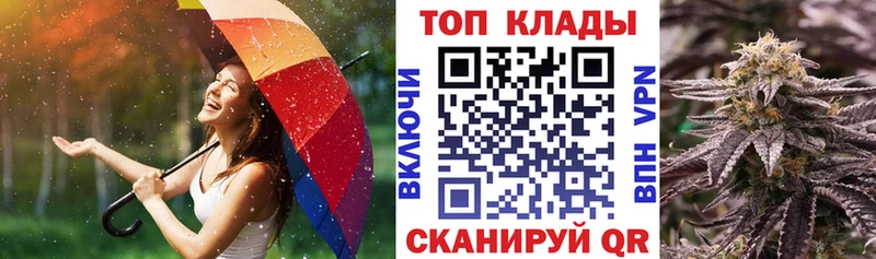 Купить закладку Гашиш Амфетамин СК Меф мяу мяу Кокаин Вилючинск