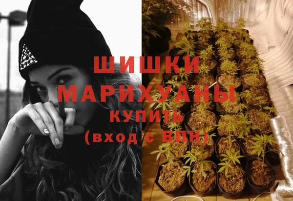 меф Арсеньев