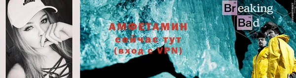 сатива Аркадак