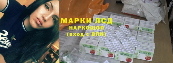 сатива Аркадак