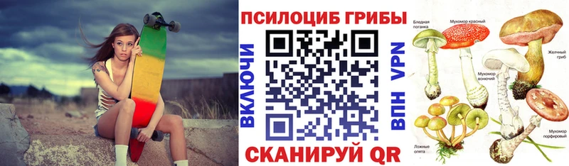 Купить где  Вилючинск  Псилоцибиновые грибы ЛСД 